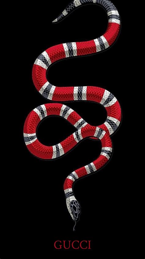 gucci snale|Gucci snake collection.